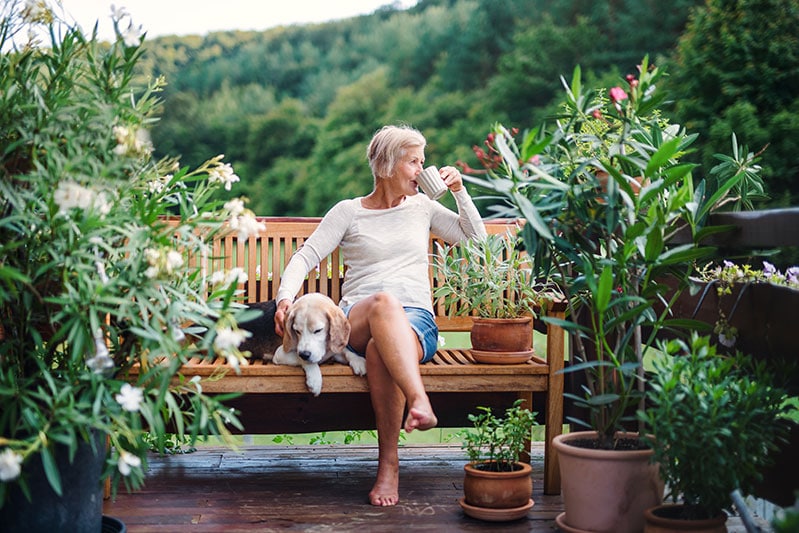 Older woman in shorts with dog on bench